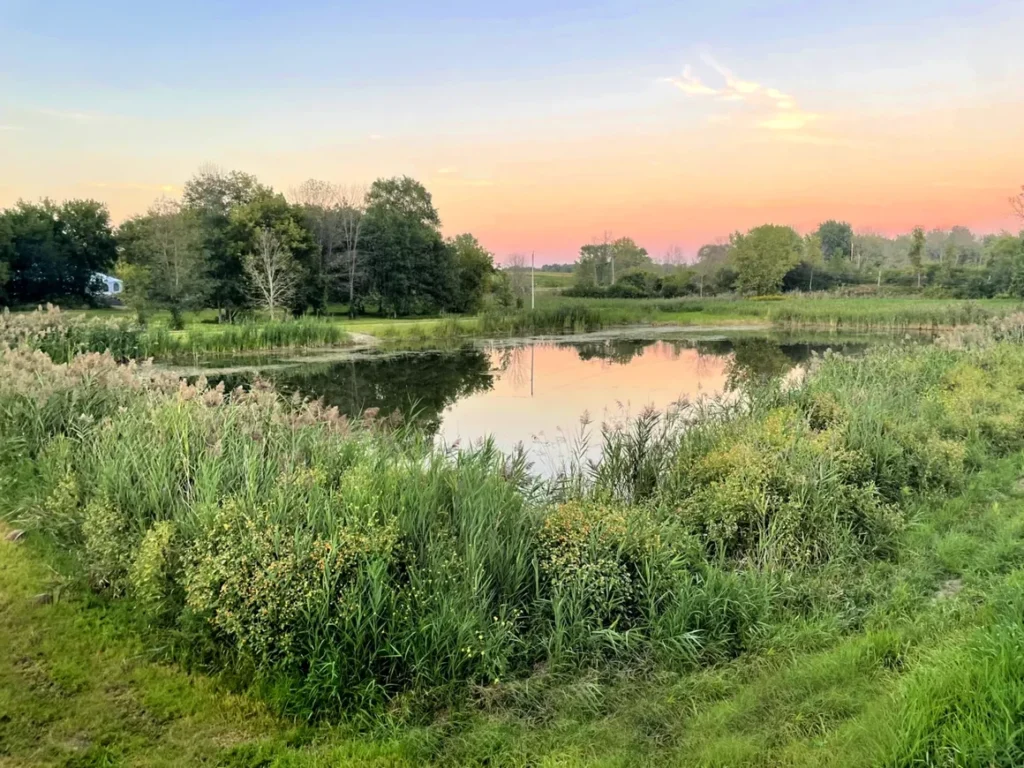 Sunset over a serene pond surrounded by lush greenery and trees at Riverbend Events in Weedsport, NY, showcasing the venue's natural beauty and outdoor spaces for weddings and special occasions.